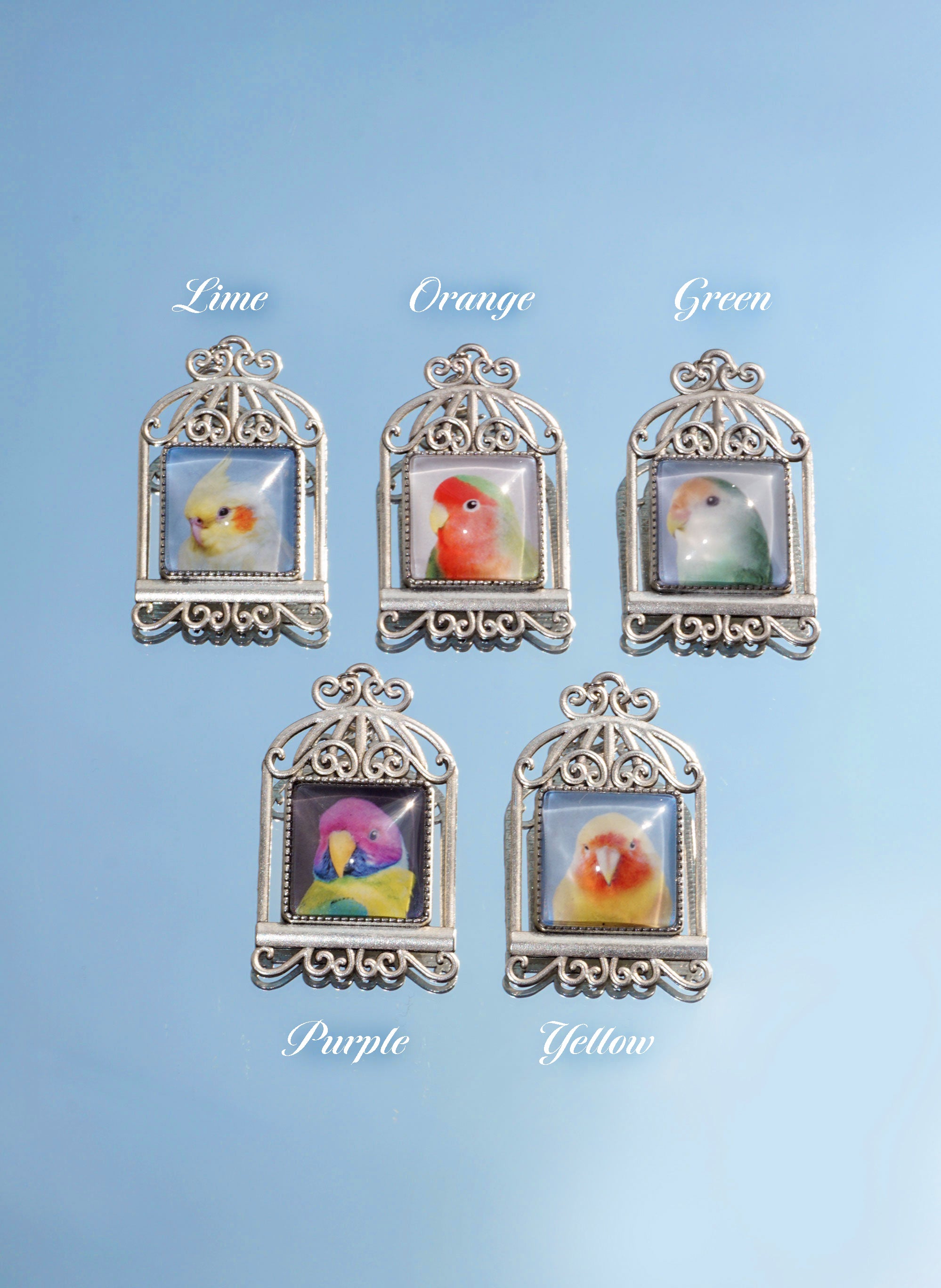 BIRDCAGE BROOCH+NECKLACE (5 COLORS)